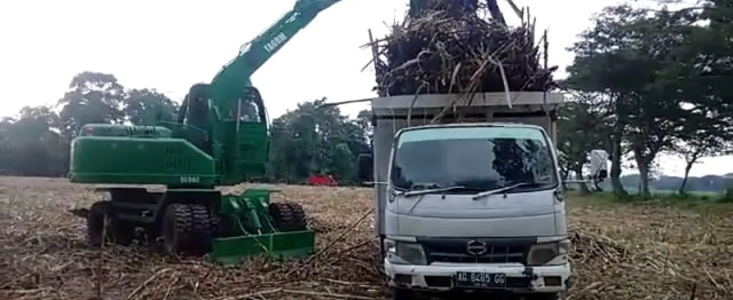  CANE LOADER 1523245103 79